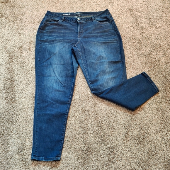 Lane Bryant Denim - Lane Bryant Boyfriend Genius Fit Jeans